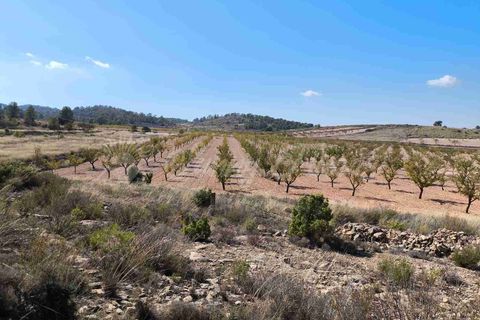 Helårsgrund i Jumilla, Murcia, Jumilla - € 29.900 | Ref: SF0544 - foto 4